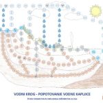 vodni krog