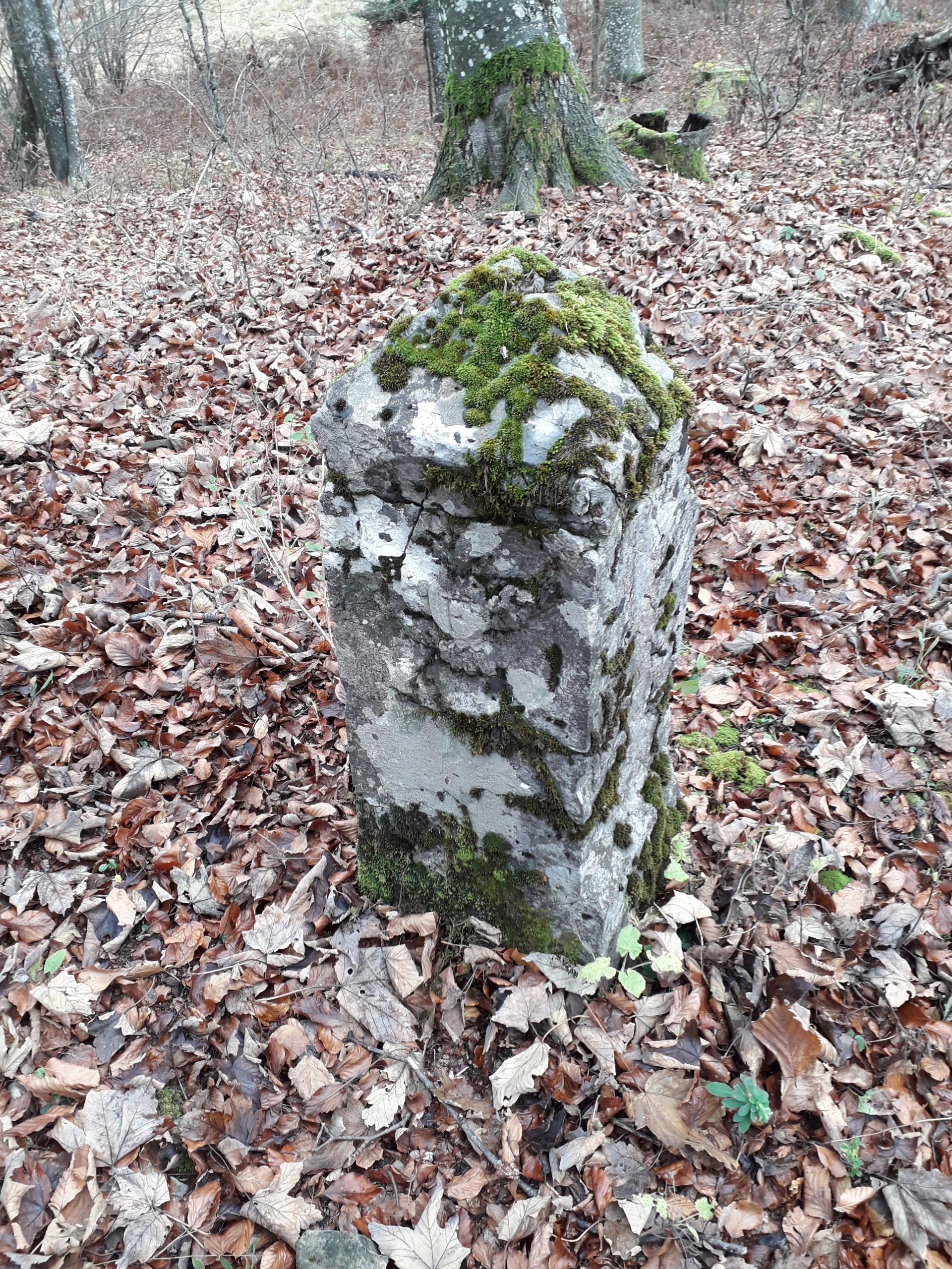 Mejnik